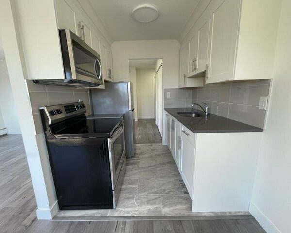 Newly Renovated Second Floor 1 Bedroom Apartment